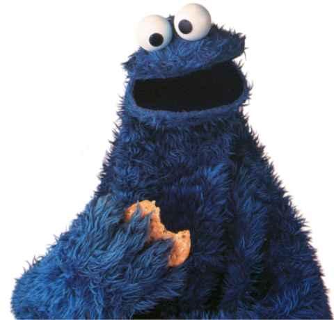 cookielessdomain