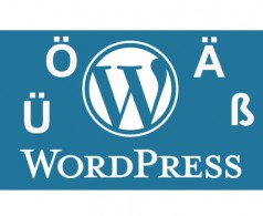 Wordpress Umlaute Permalauts Plugin